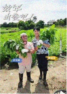 美食综艺一桌好味剧照